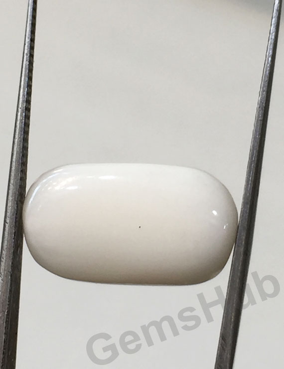 11.50 ratti/10.36 ct Natural Certified  White Coral/सफ़ेद मूंगा